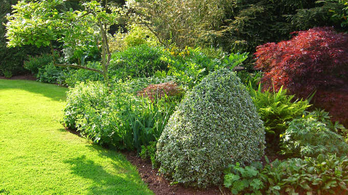 Pruning and care of beds and borders